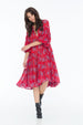 JENNA HIPP DRESS LITTLE PAISLEY RED